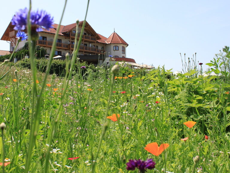 Die blühende Blumenwiese im Sommer mit dem Wellnesshotel Der Birkenhof im Hintergrund in Bayern.