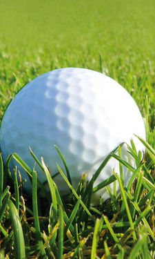 Ein weisser Golfball liegt im Gras des Golfplatzes im Bayerischen Wald.