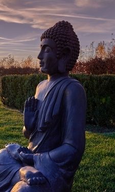 Die entspannende Aussenansicht mit relax Arealen des Hotels Der Birkenhof.