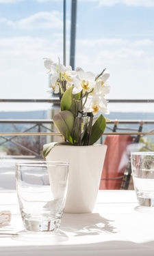 Der elegant eingedeckte Tisch ist ein romantischer Fensterplatz im Restaurant Turmstube des Wellnesshotel Der Birkenhof.