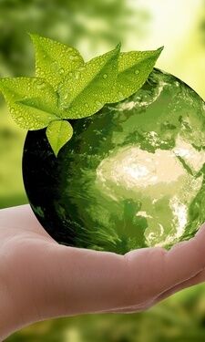 Hand hält grüne Sphäre die Nachhaltigkeit im Wellnesshotel Der Birkenhof in der Oberpfalz symbolisiert.