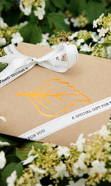 Einfaches Geschenk mit weißer Blume im Fokus für besondere Anlässe.