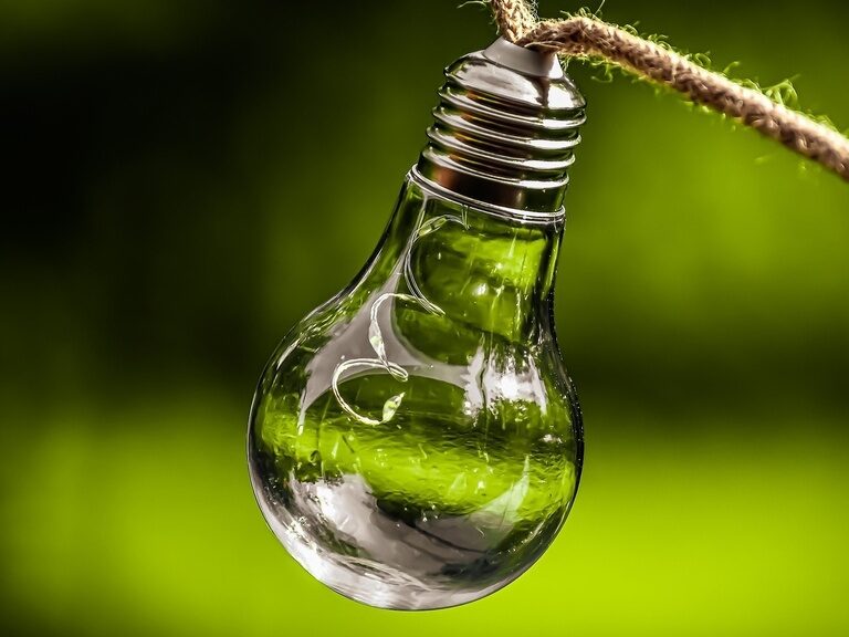 Glühbirne auf grünem Hintergrund