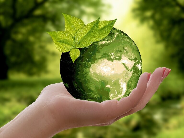 Hand hält grüne Sphäre die Nachhaltigkeit im Wellnesshotel Der Birkenhof in der Oberpfalz symbolisiert.