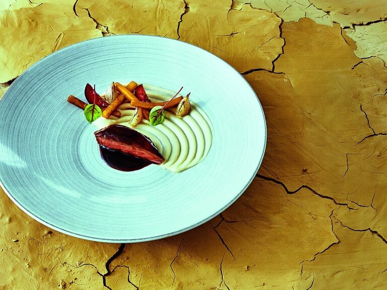 Das Sternegericht mit Taubenfleisch serviert, mit Pastinake garniert und Perlzwiebel im Sternerestaurant Eisvogel in der Oberpfalz.