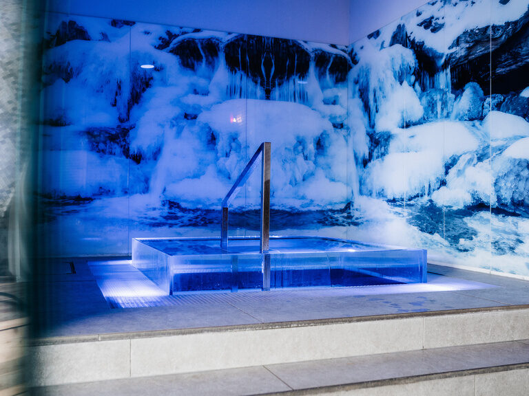 Entspannendes Tauchbecken mit Blick auf eine dekorative Gletschertapete im Innenbereich des Wellnesshotels der Birkenhof in Bayern.