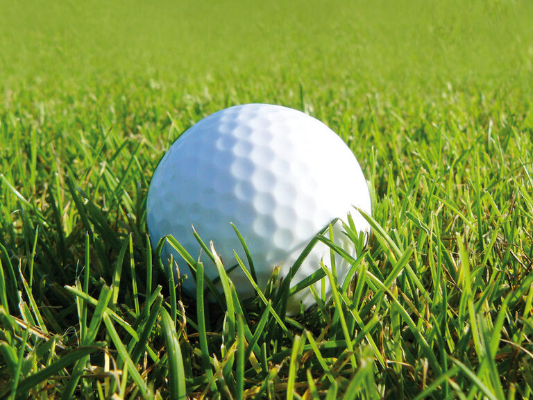 Ein weisser Golfball liegt im Gras des Golfplatzes im Bayerischen Wald.